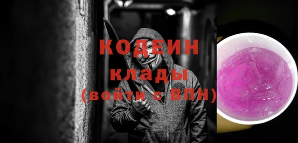 прущие грибы Белокуриха