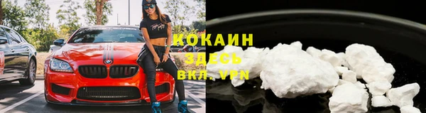 мяу мяу мука Богданович