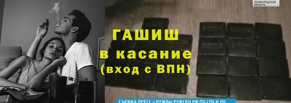прущие грибы Белокуриха