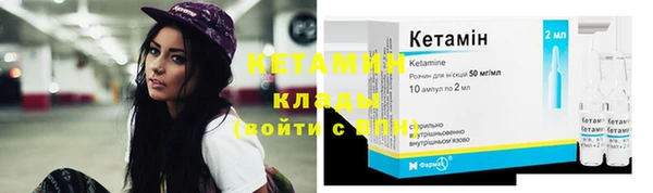 прущие грибы Белокуриха