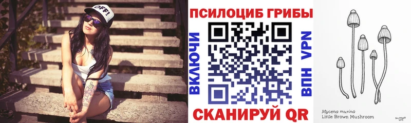магазин продажи наркотиков  мега ссылка  Галлюциногенные грибы Cubensis  Вельск 